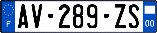 AV-289-ZS