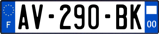 AV-290-BK