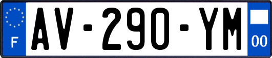 AV-290-YM