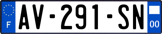 AV-291-SN