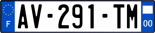 AV-291-TM