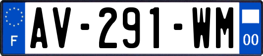 AV-291-WM