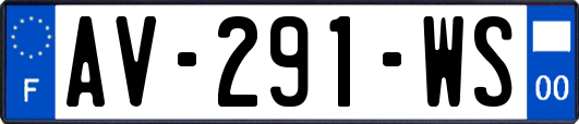 AV-291-WS