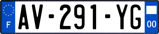 AV-291-YG