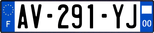 AV-291-YJ