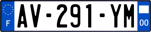 AV-291-YM
