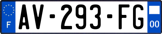 AV-293-FG