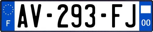 AV-293-FJ