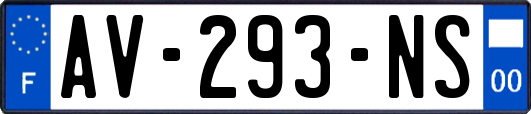 AV-293-NS