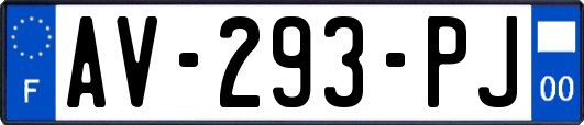 AV-293-PJ