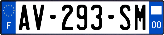 AV-293-SM