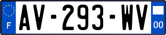 AV-293-WV
