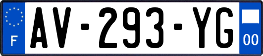 AV-293-YG
