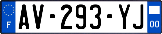 AV-293-YJ