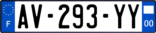 AV-293-YY