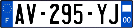 AV-295-YJ