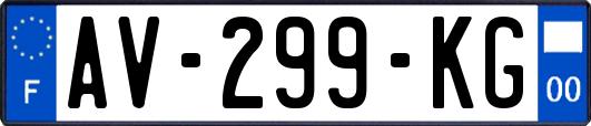 AV-299-KG