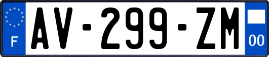 AV-299-ZM