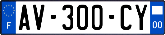 AV-300-CY