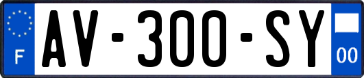 AV-300-SY