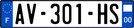 AV-301-HS
