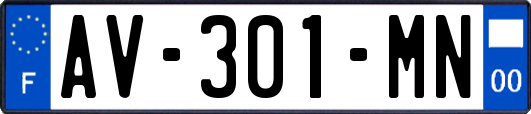 AV-301-MN