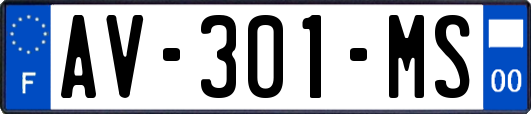 AV-301-MS