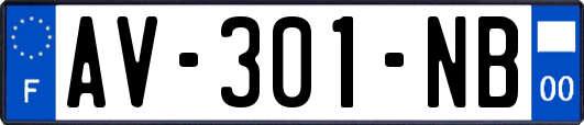 AV-301-NB