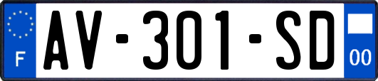 AV-301-SD