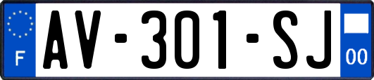 AV-301-SJ