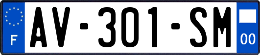 AV-301-SM
