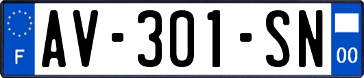 AV-301-SN