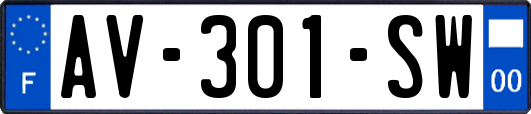 AV-301-SW
