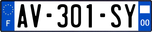 AV-301-SY