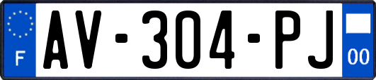 AV-304-PJ