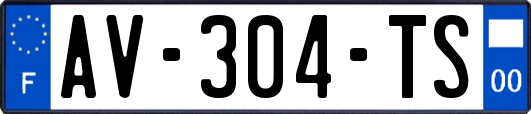 AV-304-TS