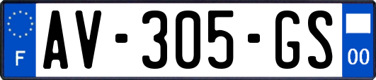 AV-305-GS