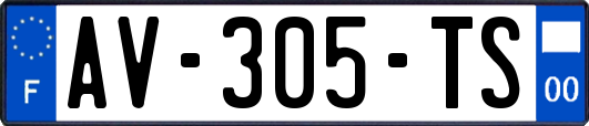 AV-305-TS