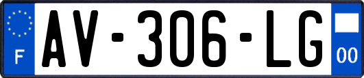 AV-306-LG