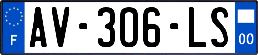 AV-306-LS