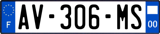 AV-306-MS
