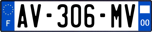 AV-306-MV