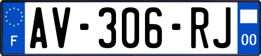 AV-306-RJ