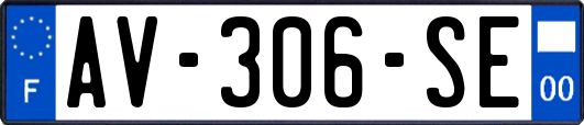AV-306-SE
