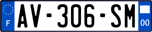AV-306-SM