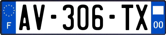 AV-306-TX