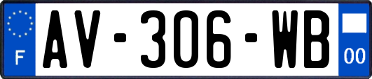 AV-306-WB