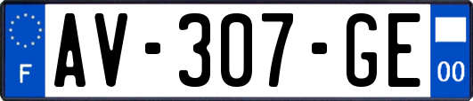 AV-307-GE