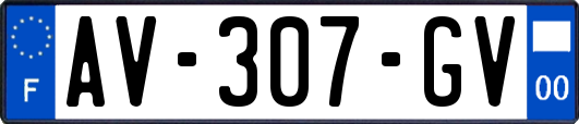 AV-307-GV