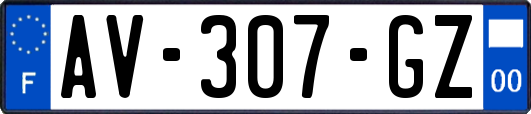AV-307-GZ